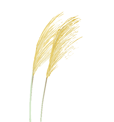 花城控股集團 花城控股集團