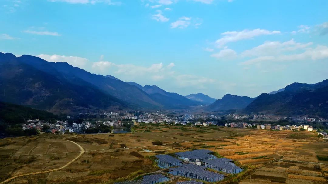 花城控股集團 花城控股集團