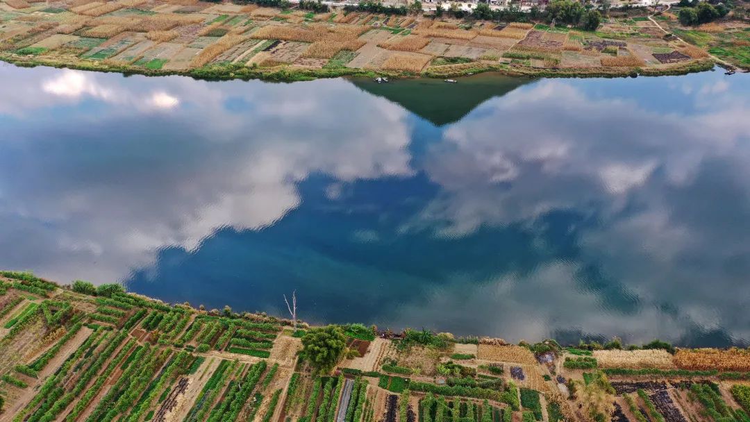 花城控股集團 花城控股集團