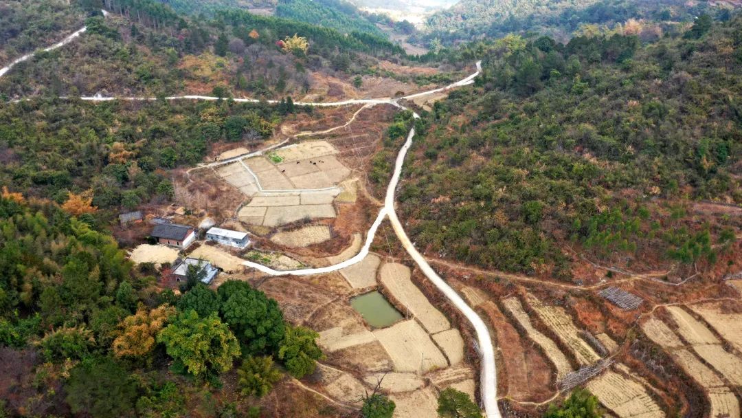 花城控股集團 花城控股集團