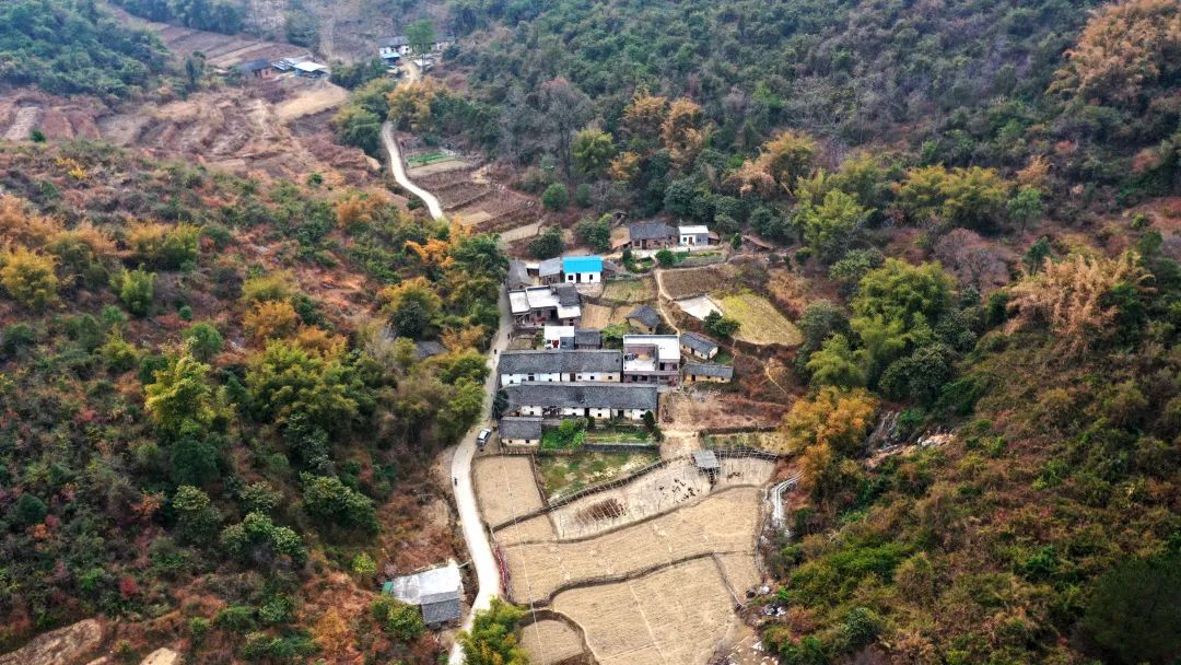 花城控股集團 花城控股集團