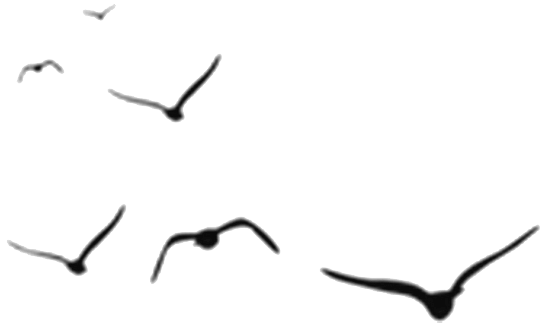 花城控股集團 花城控股集團