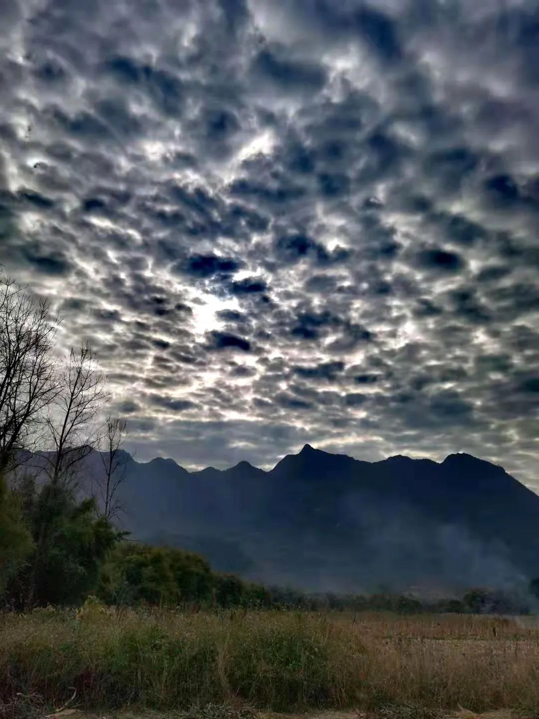 花城控股集團 花城控股集團