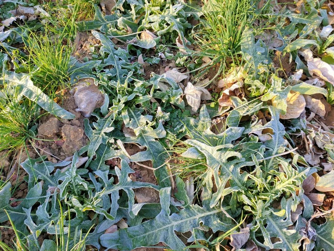 花城控股集團 花城控股集團