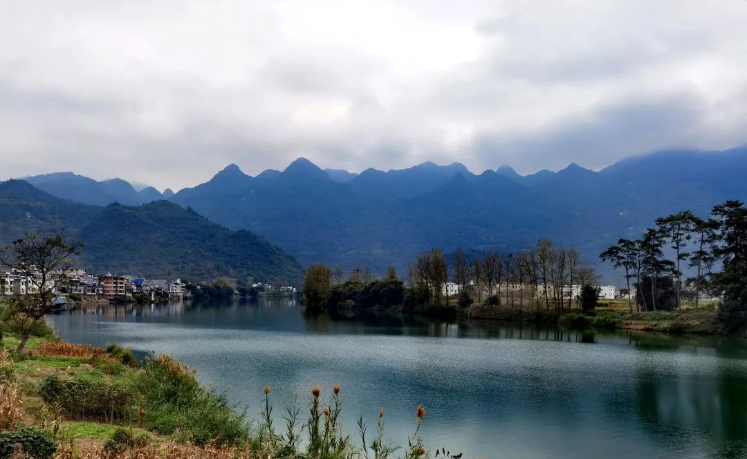 花城控股集團 花城控股集團